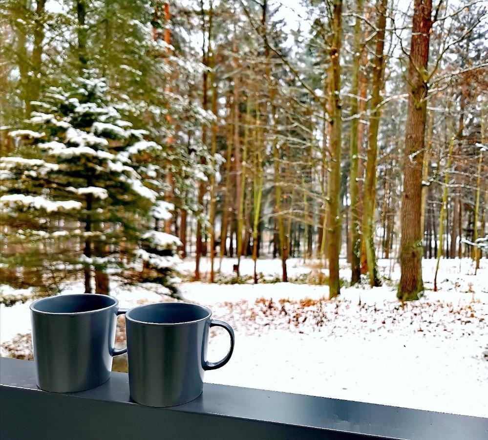 Apartament Z Widokiem Na Park Polanica-Zdrój Esterno foto