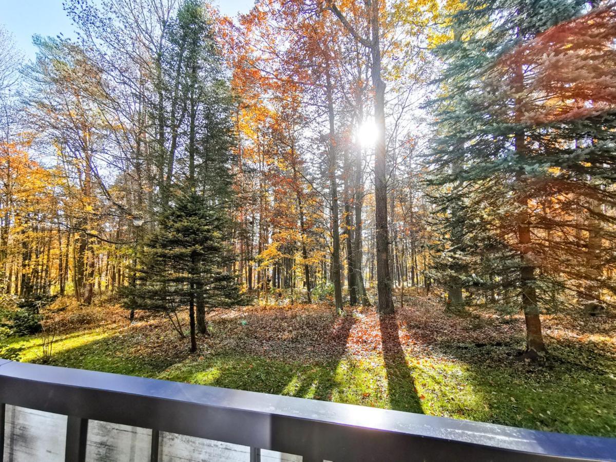 Apartament Z Widokiem Na Park Polanica-Zdrój Esterno foto