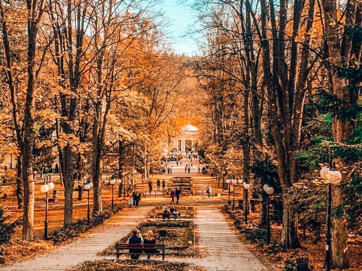 Apartament Z Widokiem Na Park Polanica-Zdrój Esterno foto