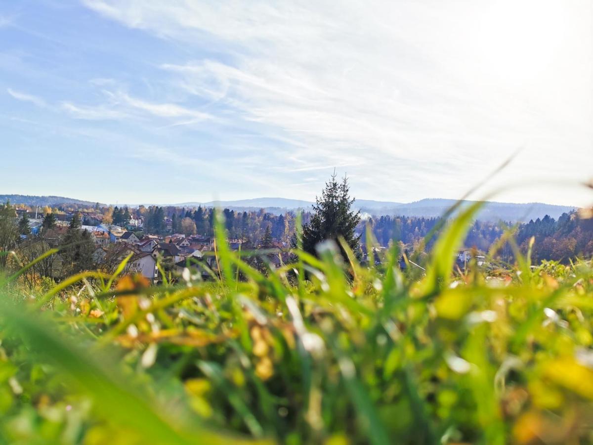 Apartament Z Widokiem Na Park Polanica-Zdrój Esterno foto