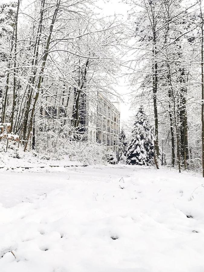 Apartament Z Widokiem Na Park Polanica-Zdrój Esterno foto