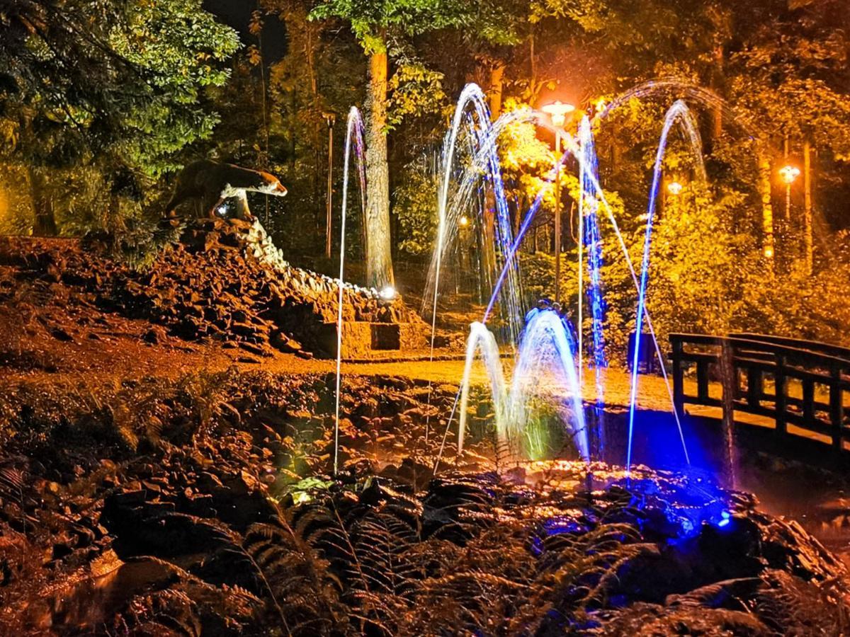 Apartament Z Widokiem Na Park Polanica-Zdrój Esterno foto